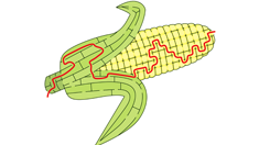 Corn Maze status image