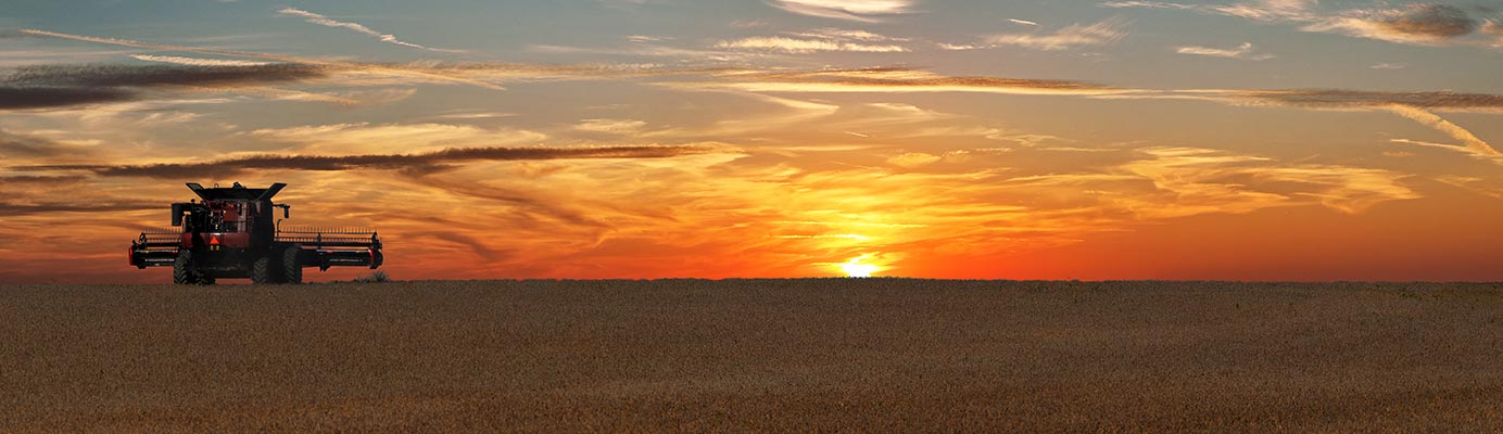 Rader Family Farms Bean Harvest
