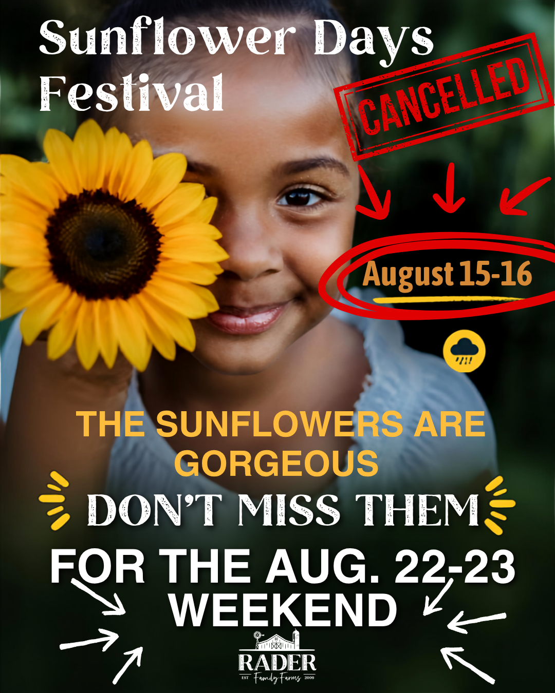 Sunflower Days Festival